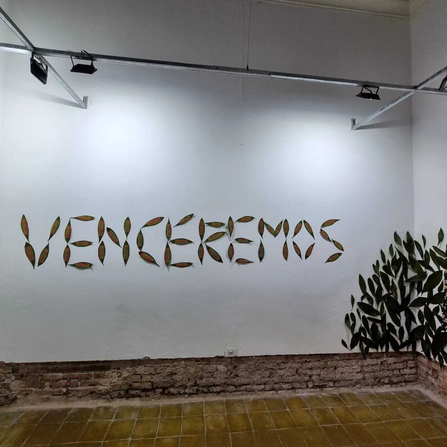 En bucle, el cuerpo de las palabras.