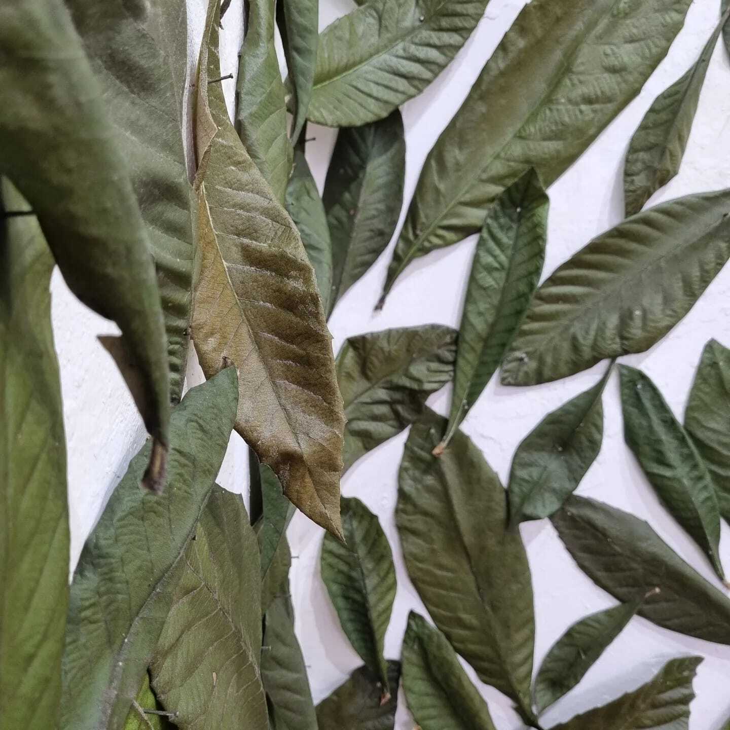 En bucle, el cuerpo de las palabras.