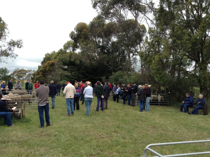 Private On-Property Ram Sales