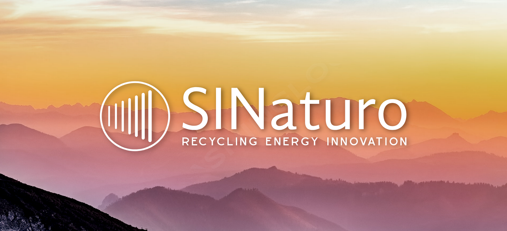 Renewable Energy Invest Solutions.
