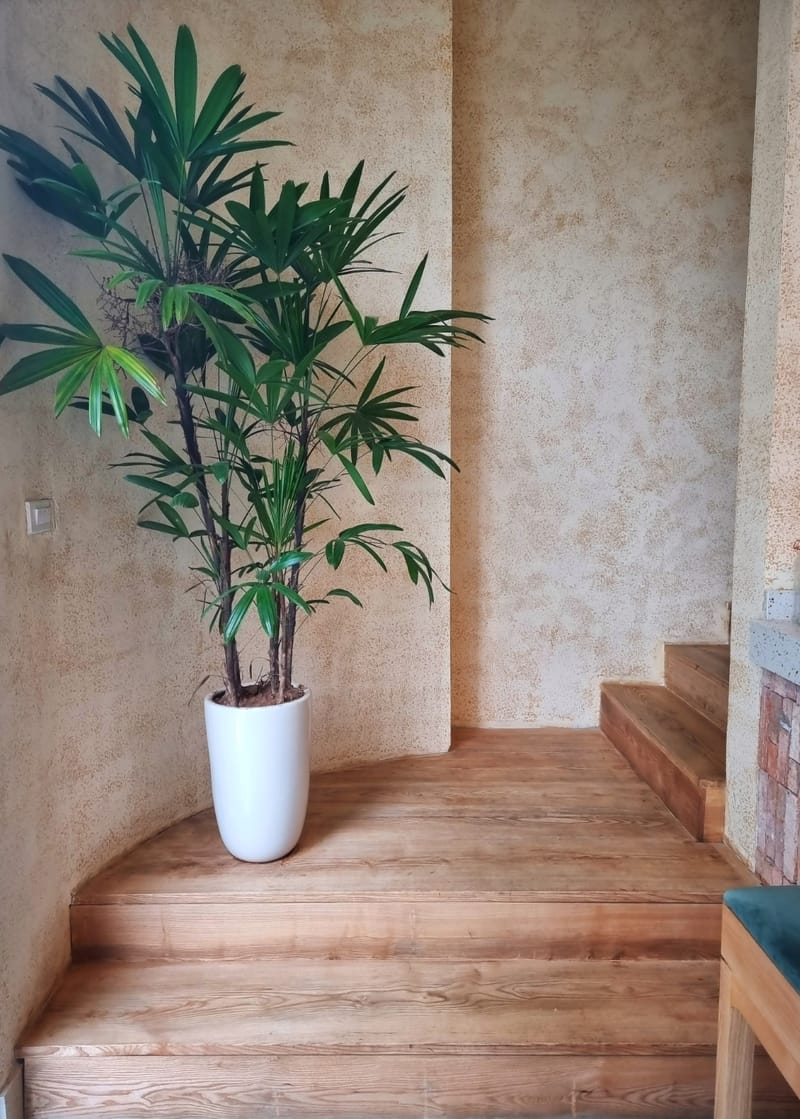 Restaurant Interior Design