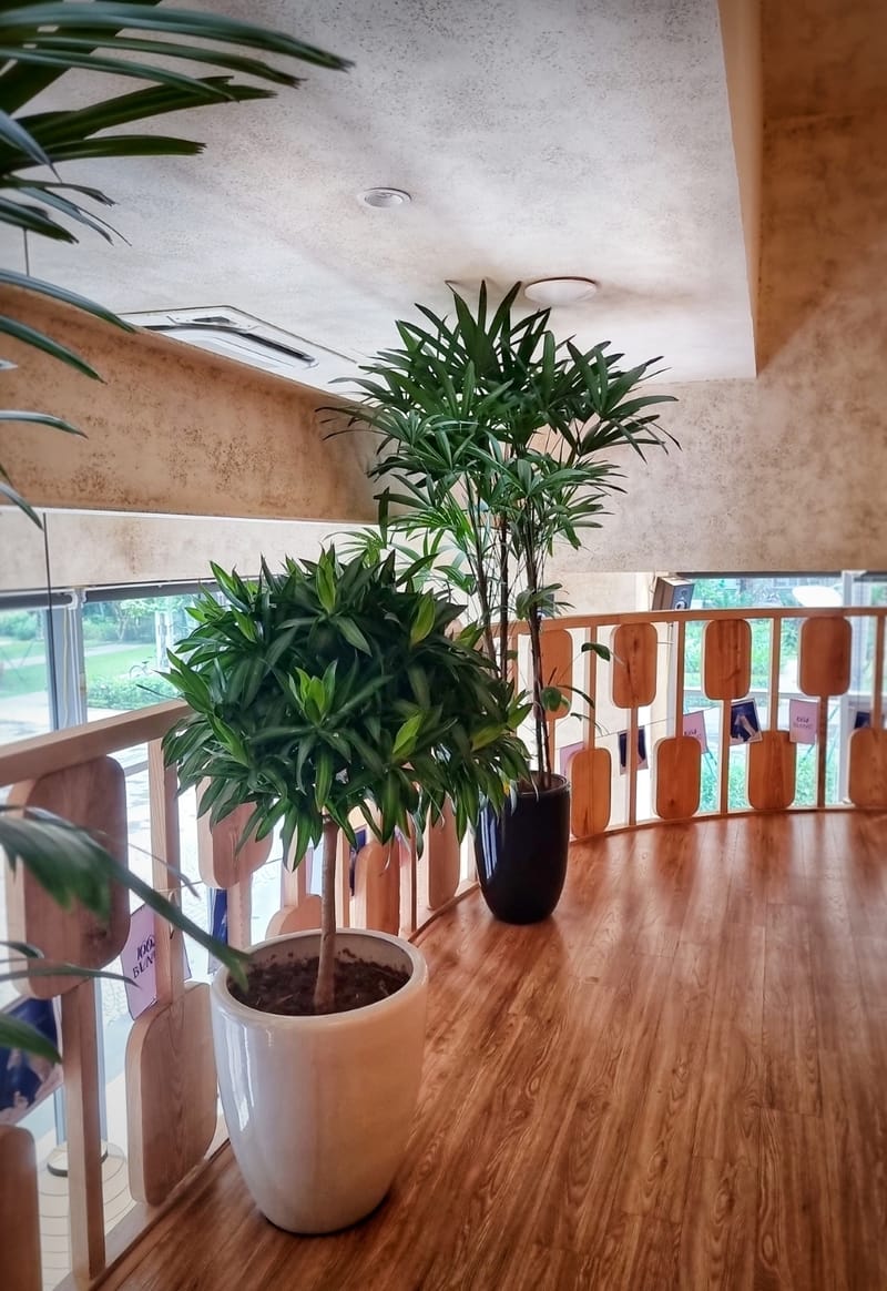 Restaurant Interior Design