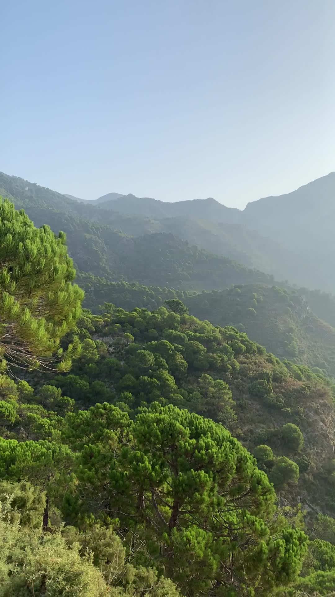 Parque natural Sierra de la Almijara