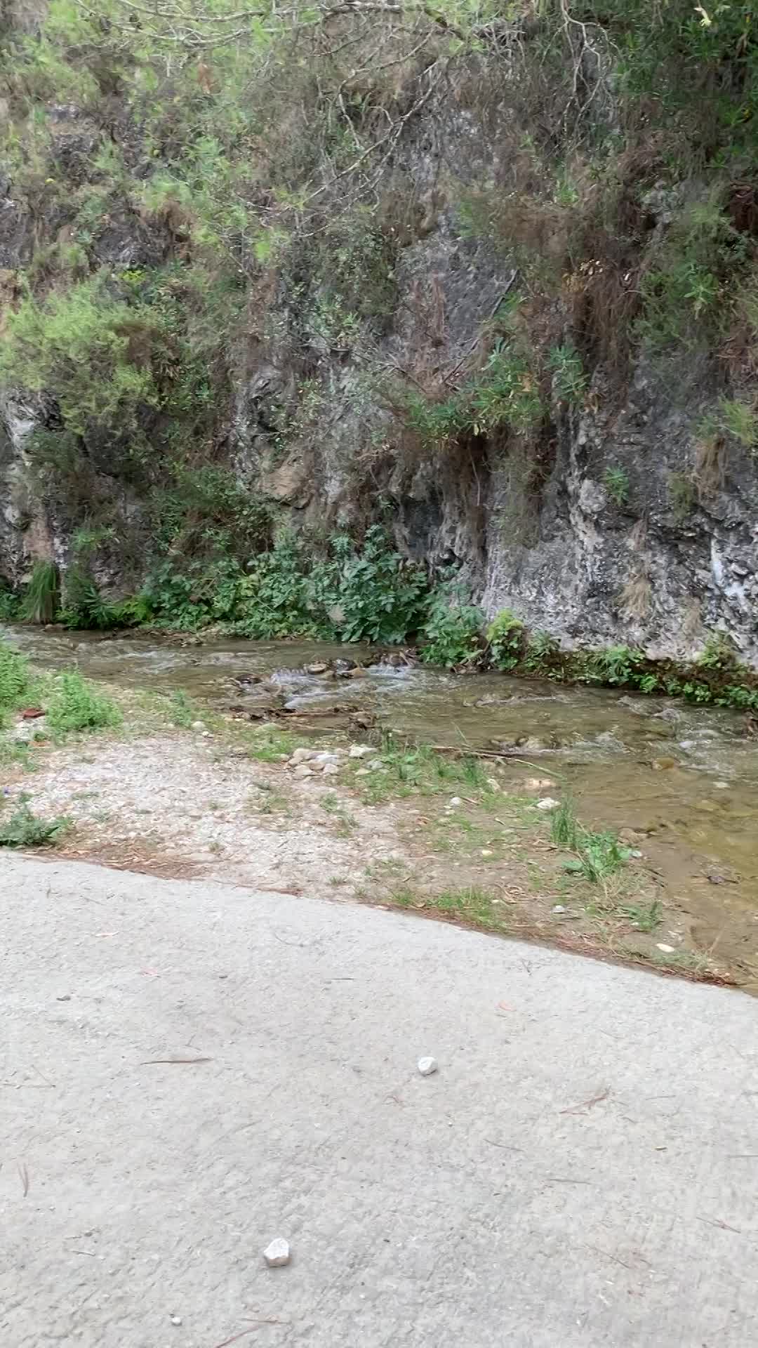 Fábrica de la luz - Río Torrox - El acebuchal