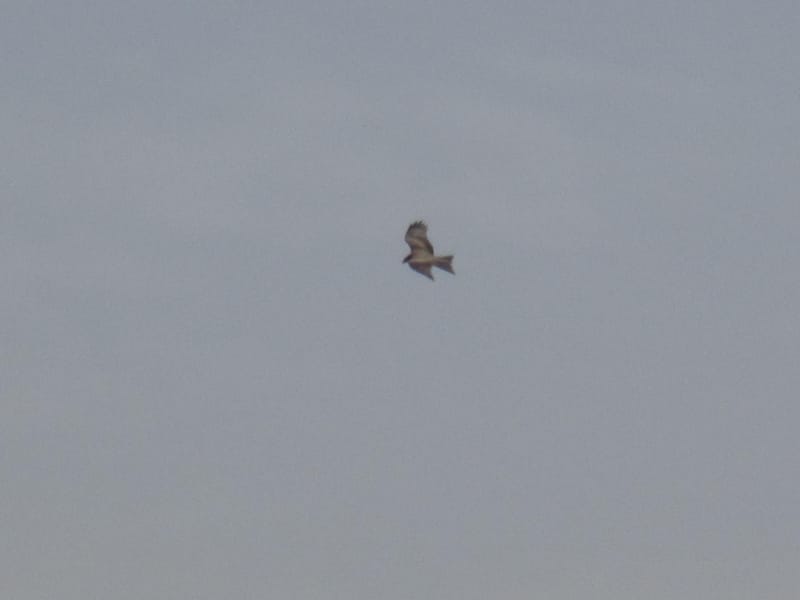 Procrastination, souffrance et difficulté à être soi...