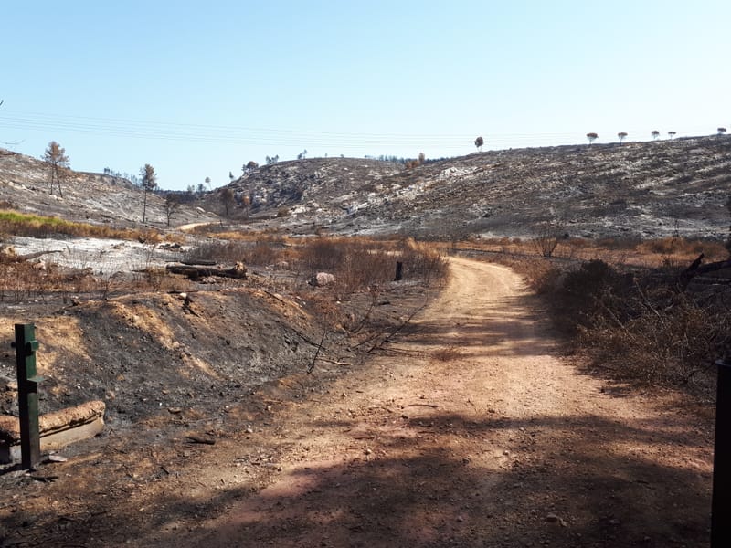 Feux  à Martigues le 4 et 5 août 2020