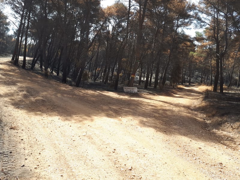 Feux  à Martigues le 4 et 5 août 2020