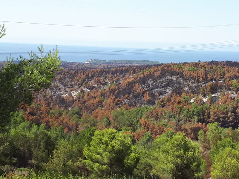 Feux  à Martigues le 4 et 5 août 2020