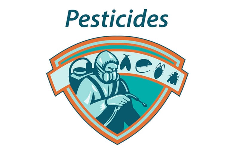 EPA TESTS PESTICIDES ON CHILDREN