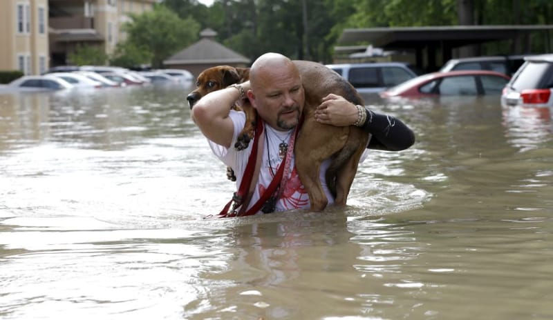 INTENTIONAL FLOODINGS