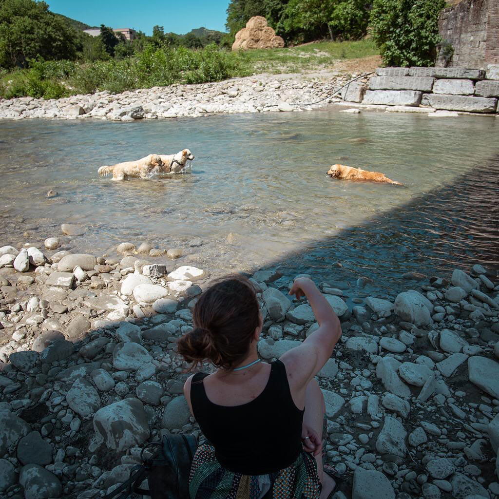 Voglio un cane "bravo così"!