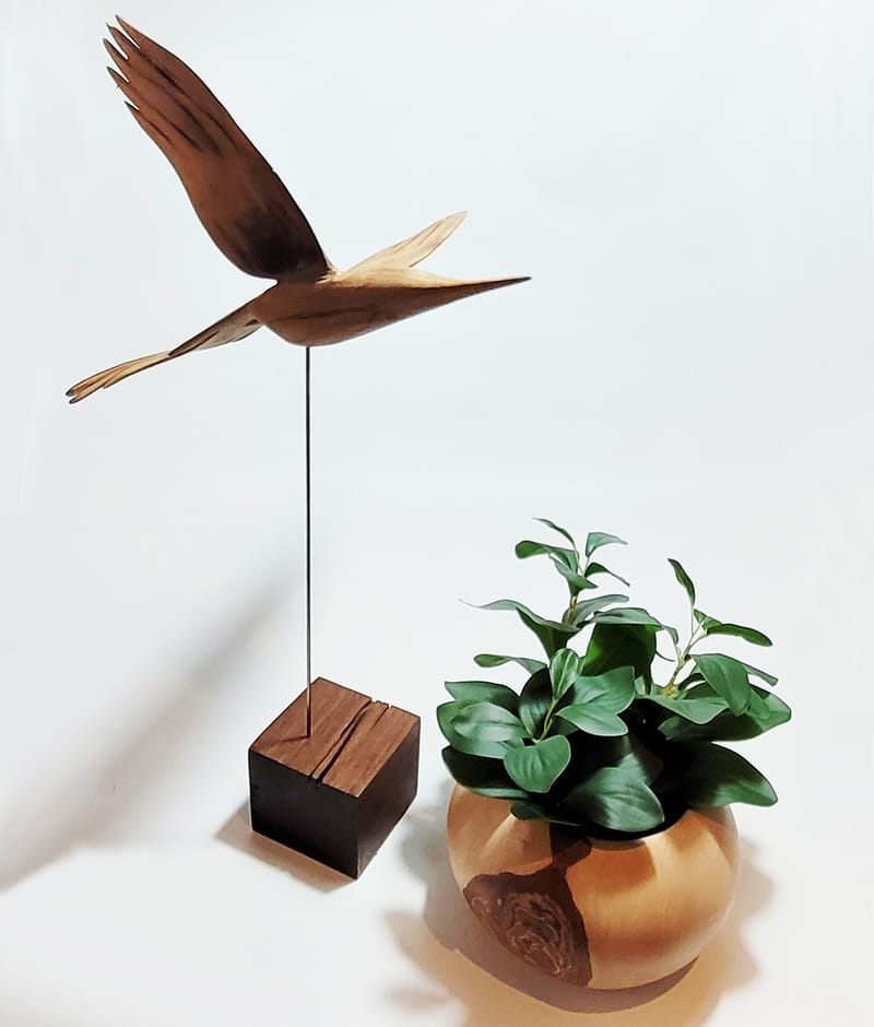 ESCULTURA VOO