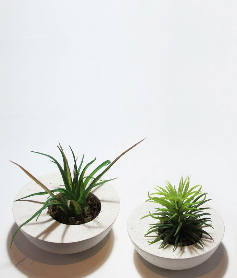 BOWL DESCENTRALIZADO