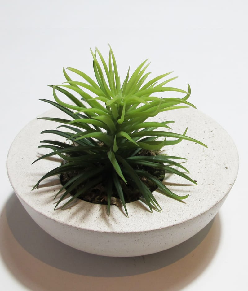 BOWL DESCENTRALIZADO