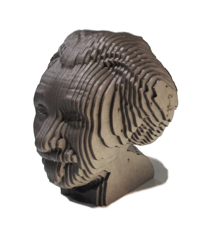 ESCULTURA CABEÇA 3D