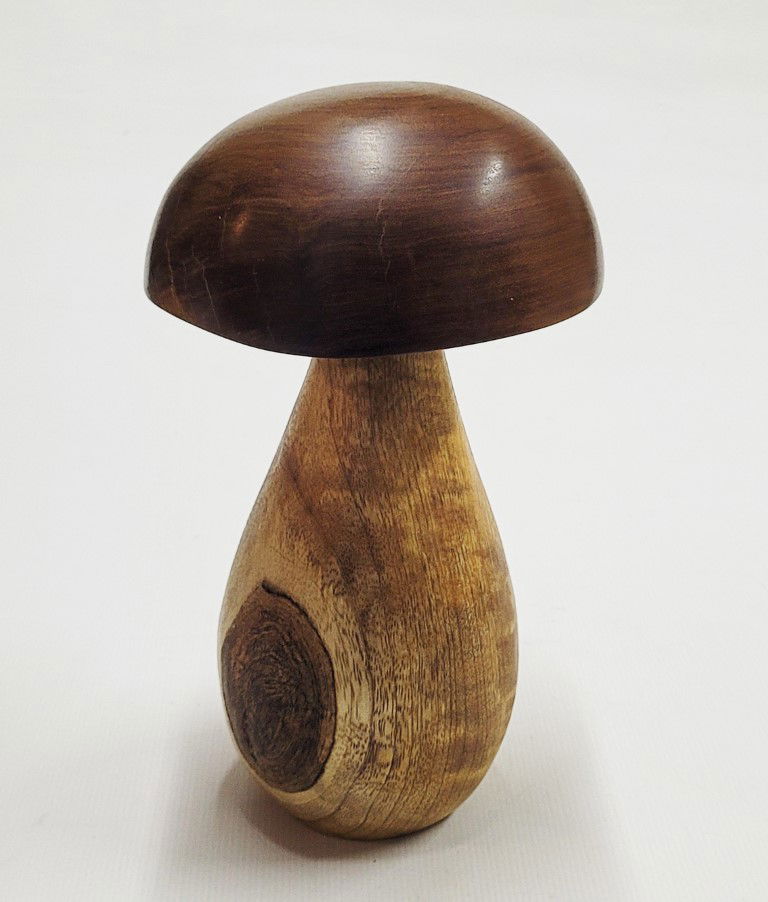 COGUMELO P