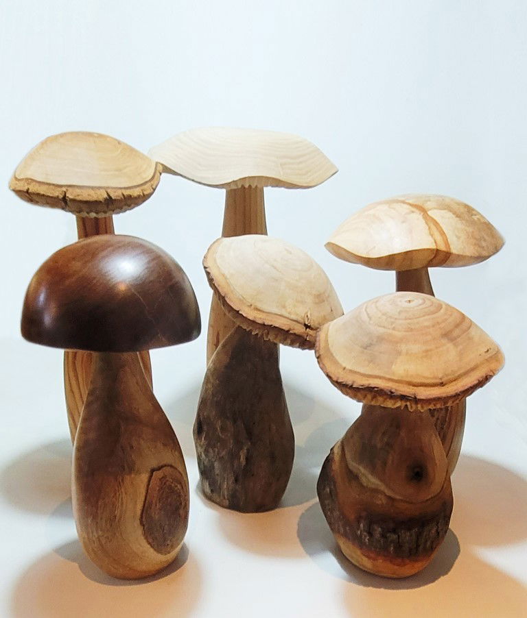 COGUMELO P