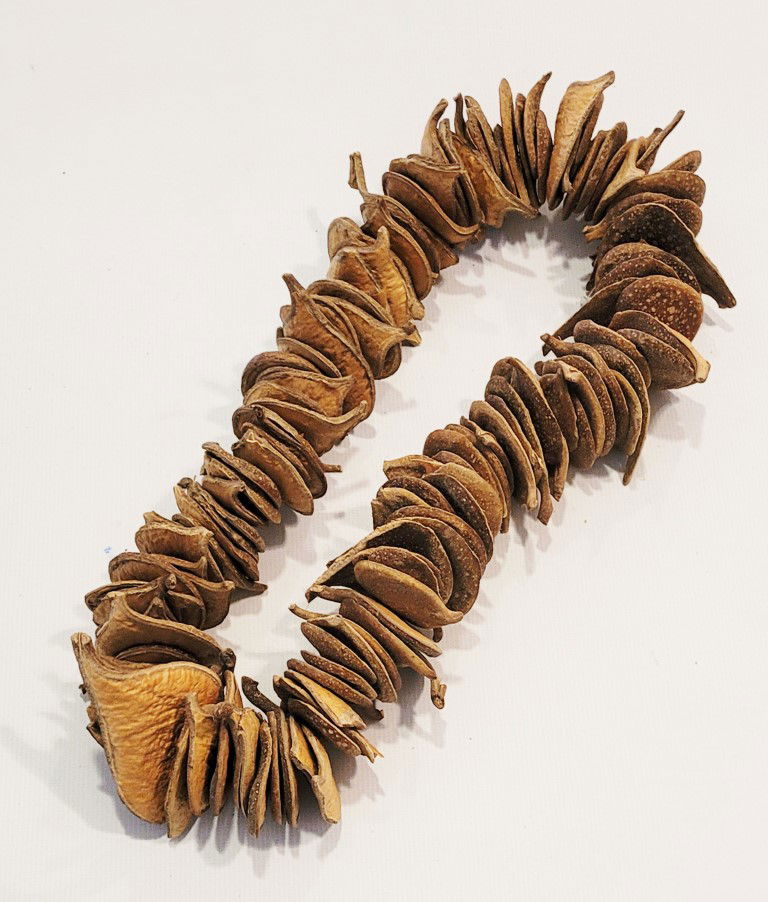 MAXI COLAR SEMENTES PEREIRO