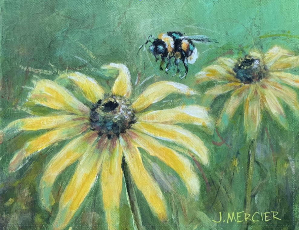 Bee and yellow coneflowers