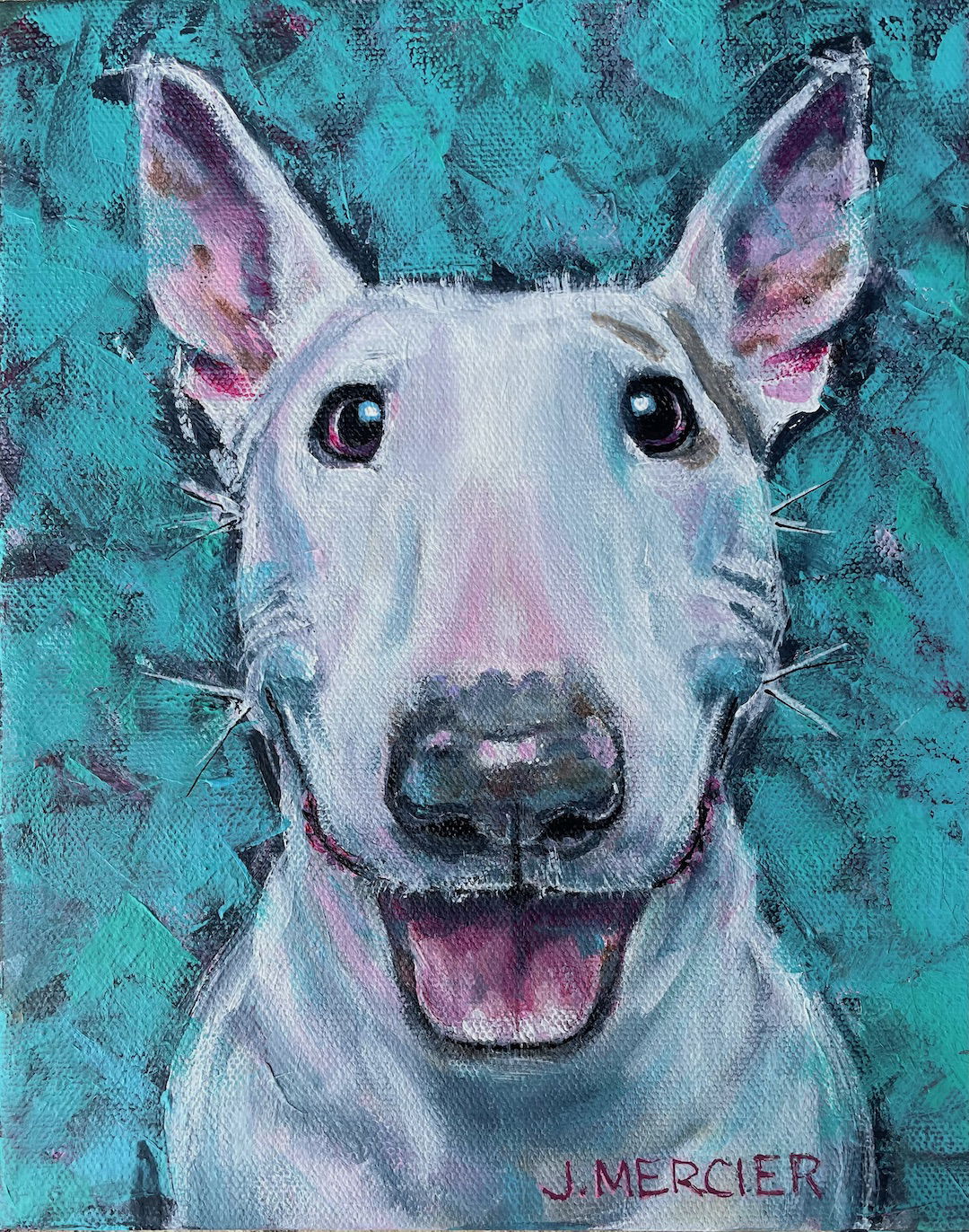 Mailo - Mini Bull Terrier