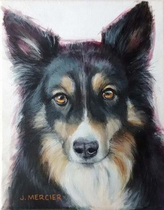 Dogs, cats and other precious animals