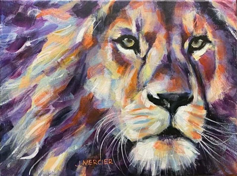 Dogs, cats and other precious animals