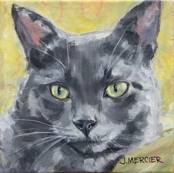 Dogs, cats and other precious animals