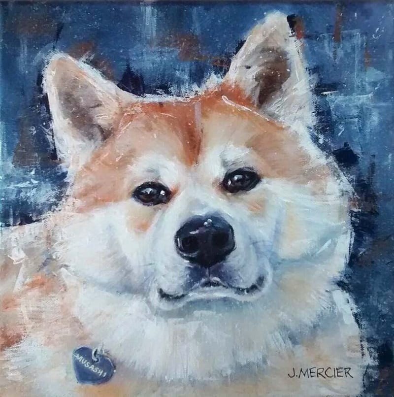 Dogs, cats and other precious animals