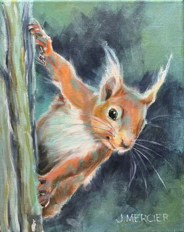 Dogs, cats and other precious animals