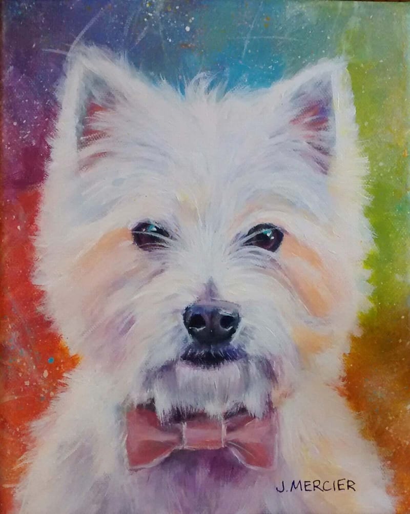 Dogs, cats and other precious animals