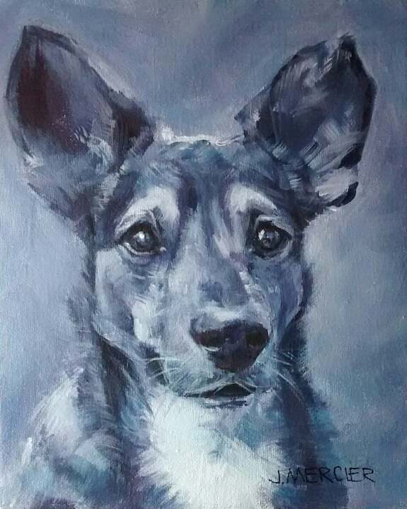 Dogs, cats and other precious animals