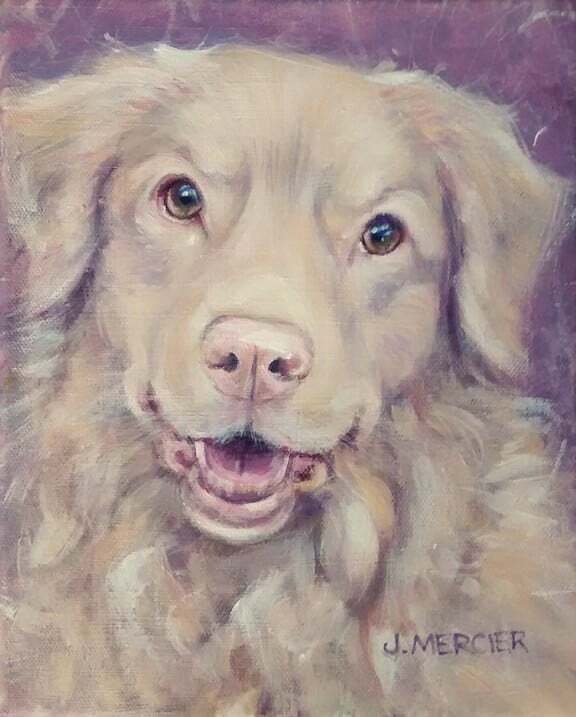 Dogs, cats and other precious animals