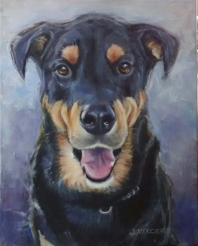 Dogs, cats and other precious animals