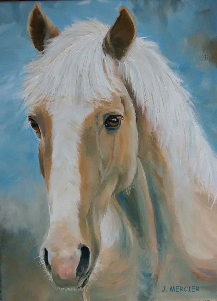 Dogs, cats and other precious animals