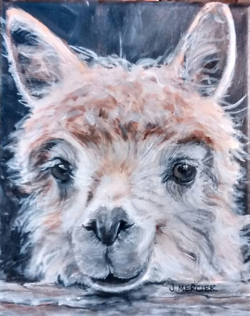 Dogs, cats and other precious animals