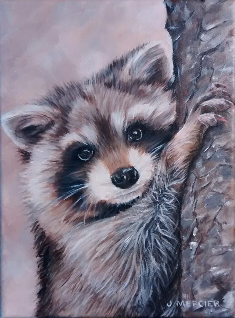 Dogs, cats and other precious animals