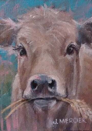 Dogs, cats and other precious animals