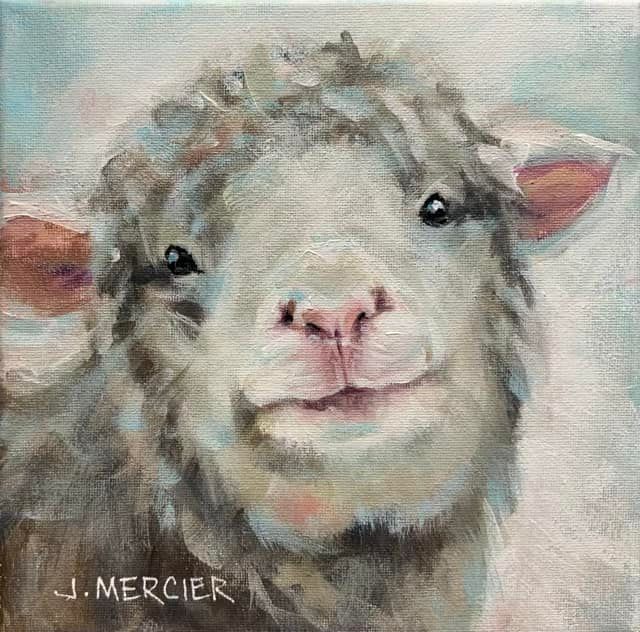 Dogs, cats and other precious animals