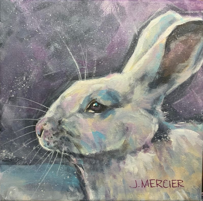 Dogs, cats and other precious animals