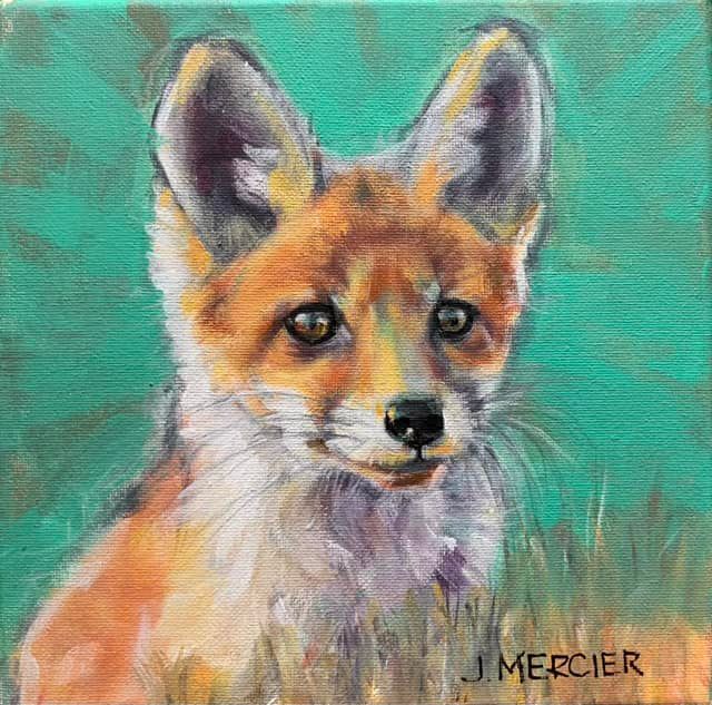 Dogs, cats and other precious animals