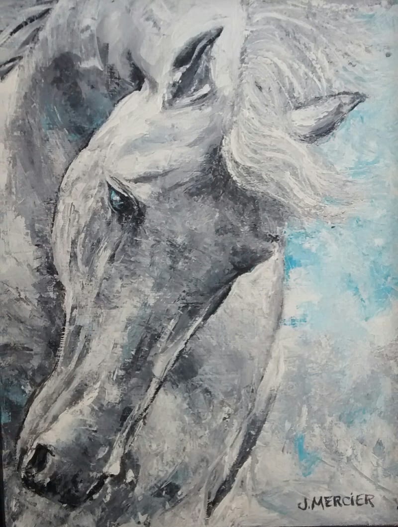 Dogs, cats and other precious animals