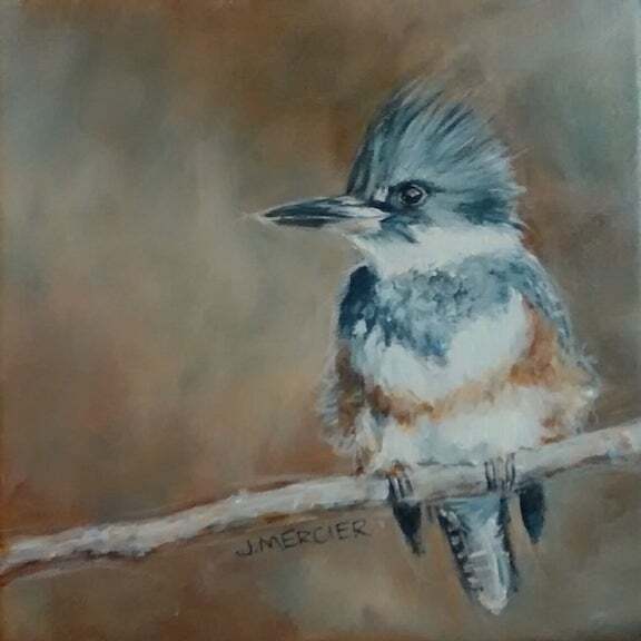 Dogs, cats and other precious animals