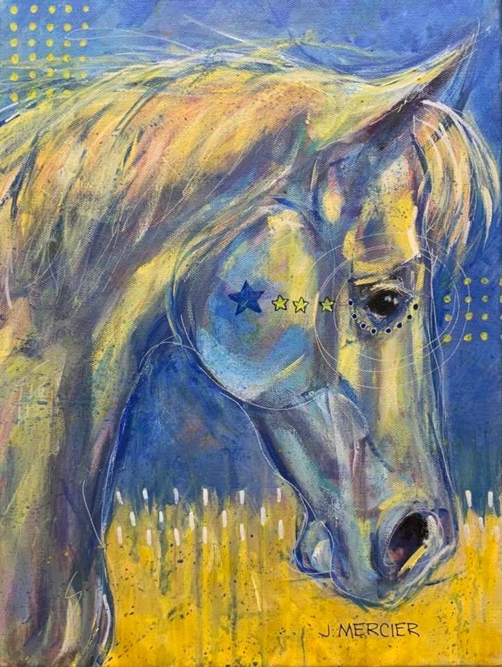 Dogs, cats and other precious animals