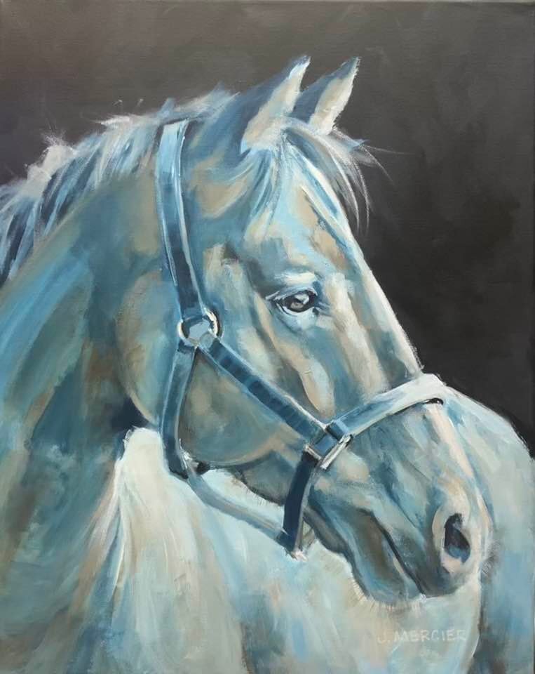 Dogs, cats and other precious animals