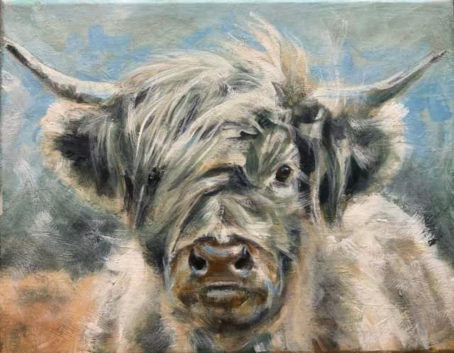 Dogs, cats and other precious animals