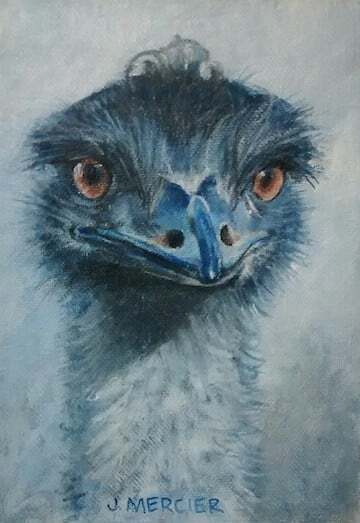 Dogs, cats and other precious animals