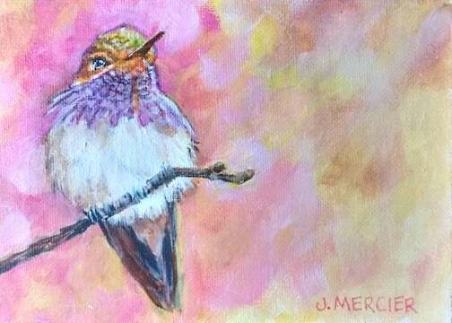 Dogs, cats and other precious animals