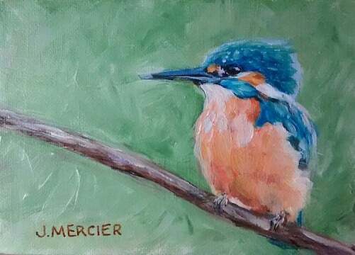 Dogs, cats and other precious animals