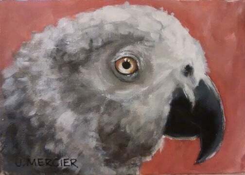 Dogs, cats and other precious animals