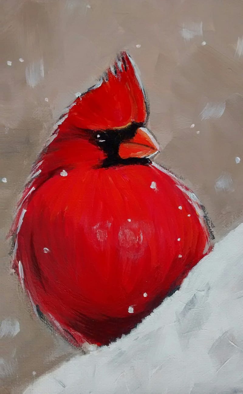 Dogs, cats and other precious animals